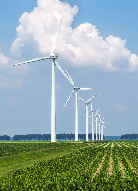 尊龙凯时人生就是博(中国区)官方网站