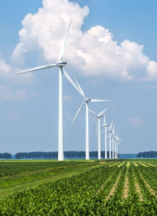 尊龙凯时人生就是博(中国区)官方网站